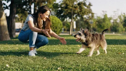 Dog resources