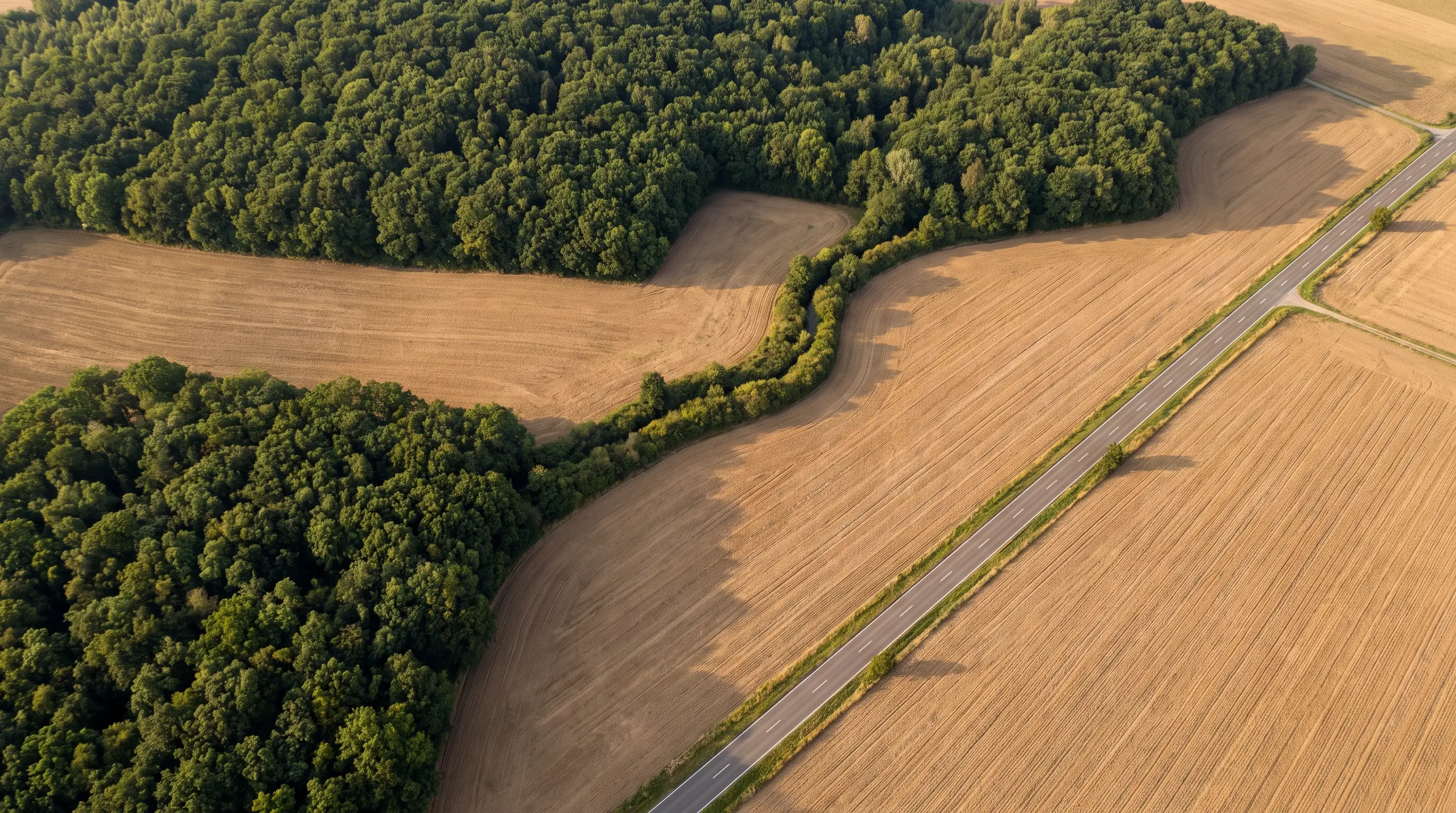 Aerial view of a hard boundary where dense forest meets intensive farmland, with a single thin hedgerow corridor linking two blocks of woodland